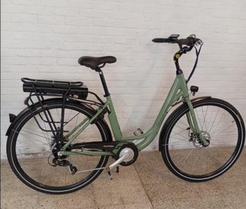 Speedpedelec kopen Tessenderlo, Limburg